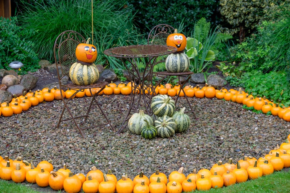 pumpkins in germany-1